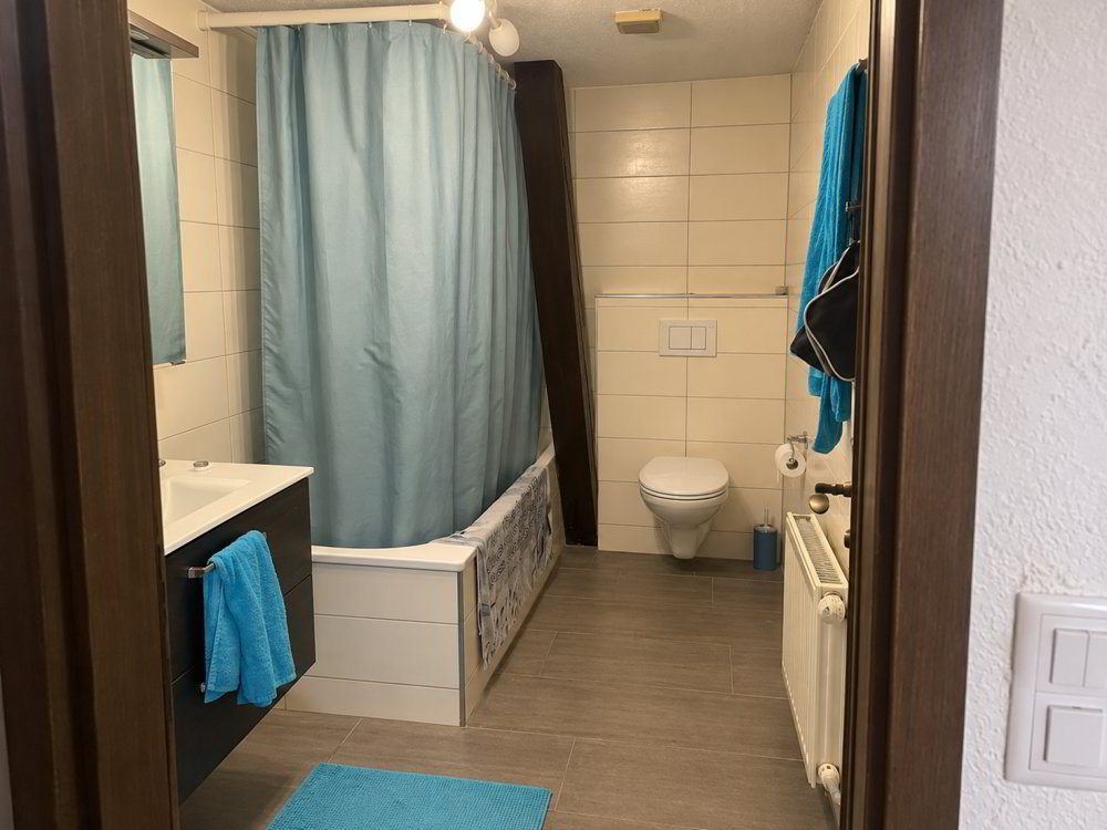 3.5 rooms Apartment for rent in Au SG - image 1/4