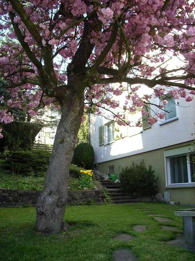 Wohnung – Emmenbrücke - Mehr