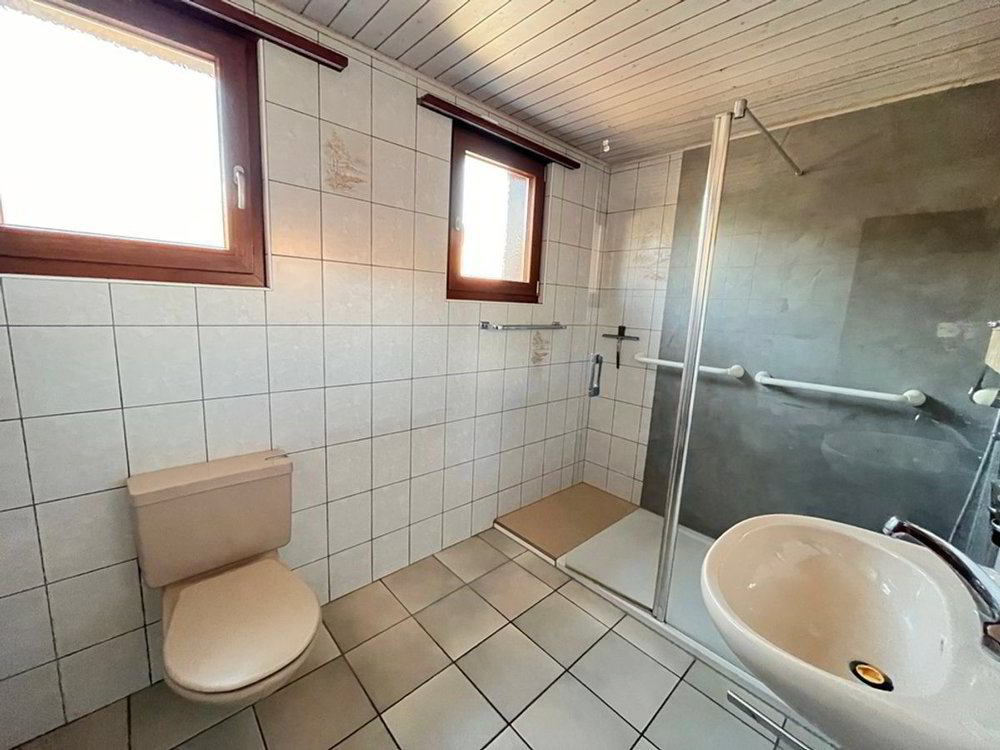 Maison 5.5 pièces à acheter à Mervelier - image 1/13