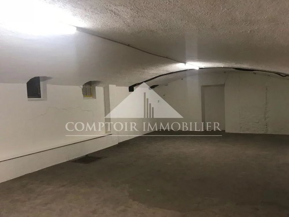 null rooms Office & Commercial for rent in Geneva - image 1/5