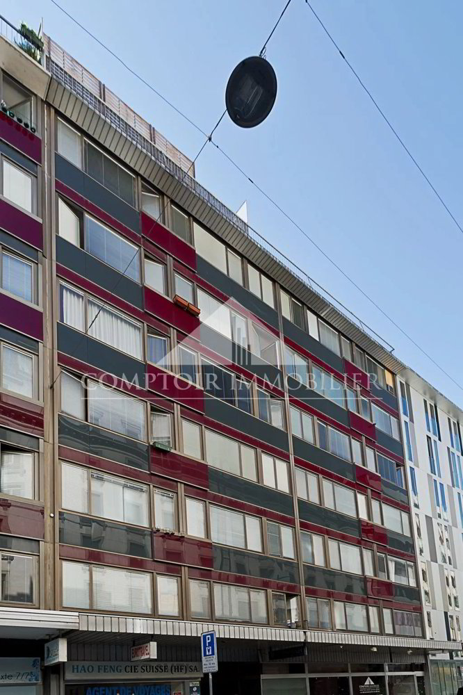 Appartamento di 3 locali in affitto a Genève - immagine 1/3