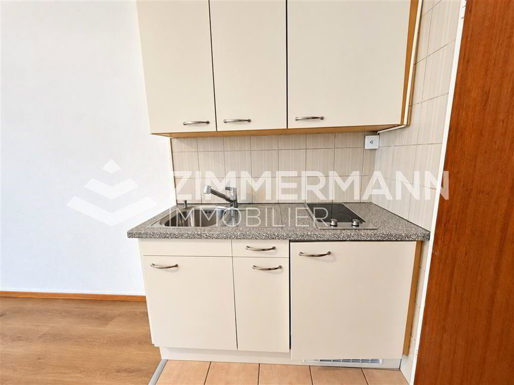 Appartement 1 pièces à louer à Lausanne - image 1/5