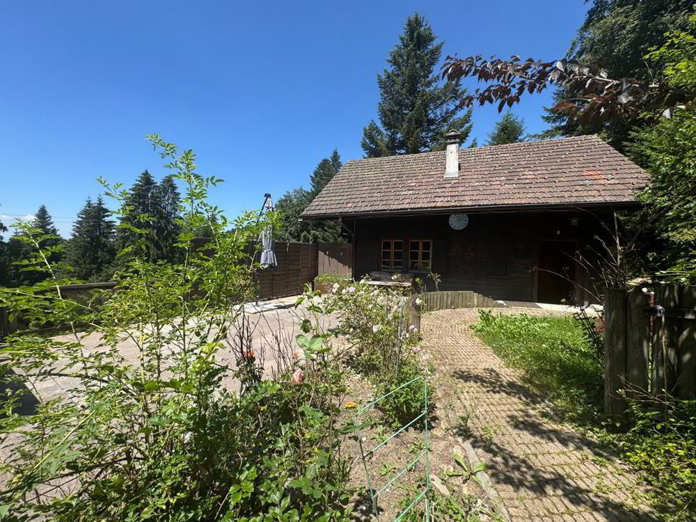 7 Zimmer Haus zum verkaufen in Les Paccots - Bild 1/13