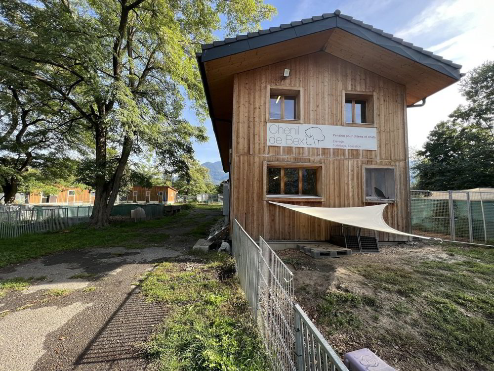 Berufspension für Hunde und Katzen - Ansicht 5