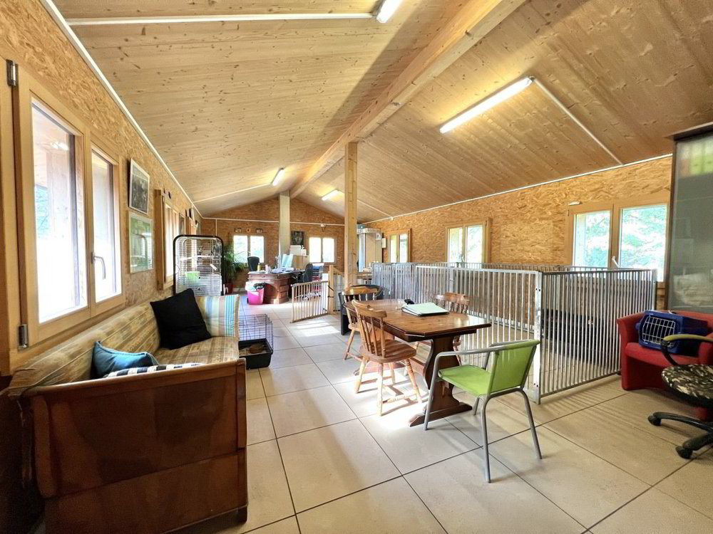 1 rooms Office & Commercial to buy in Bex - image 1/7