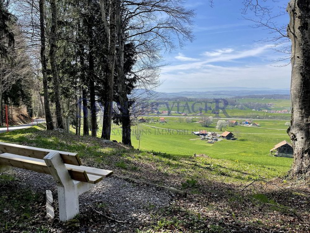 Wohnung – Châtel-St-Denis - Ansicht 4