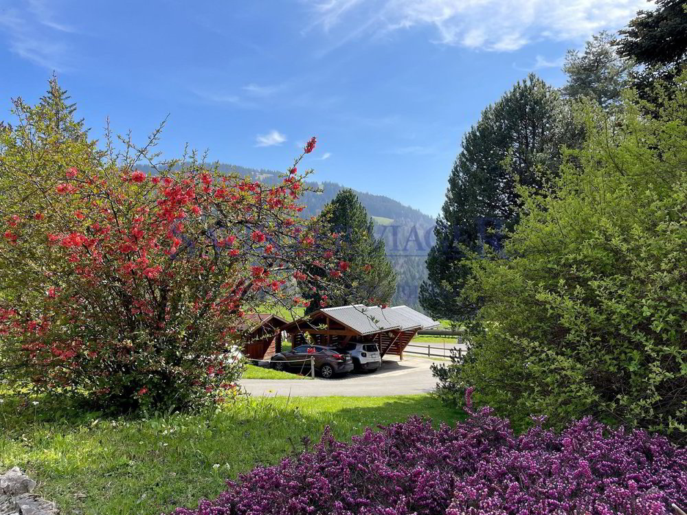Wohnung – Châtel-St-Denis - Ansicht 5