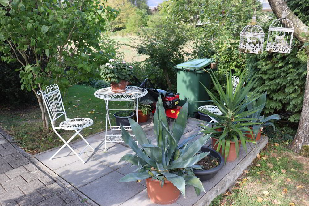 Maison 4.5 pièces à acheter à Kappel SO - image 1/16