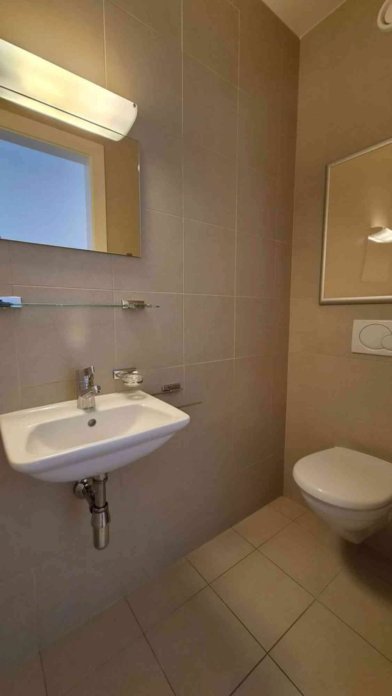 Appartement 5 pièces à louer à Carouge GE - image 1/9