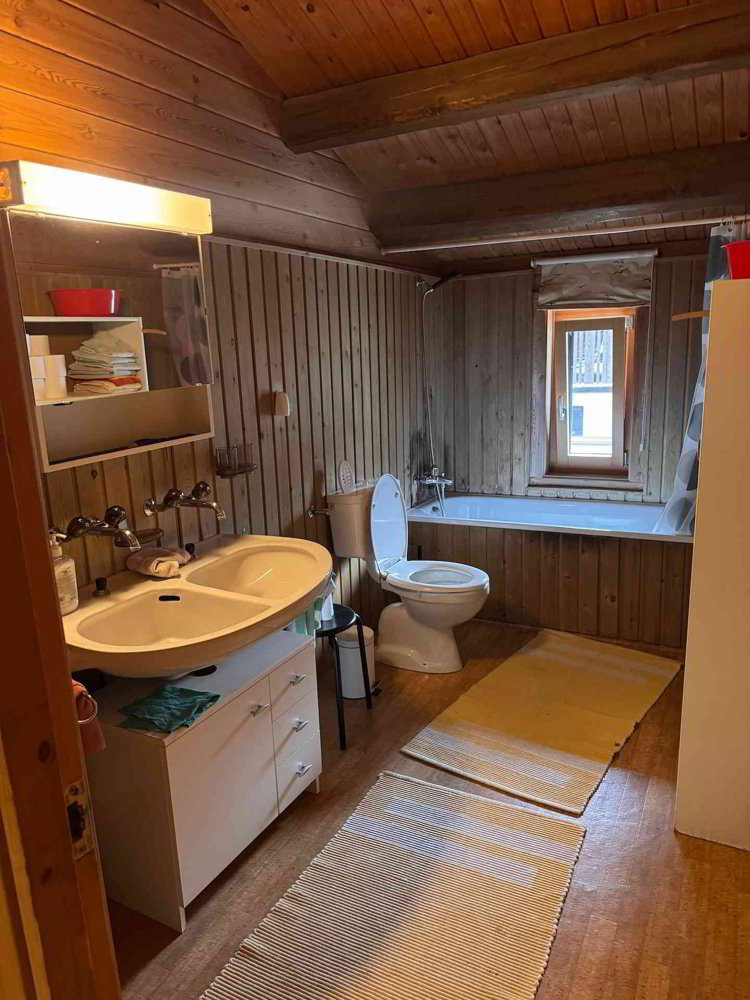 Appartement 4.5 pièces à louer à Brienz/Brinzauls GR - image 1/11