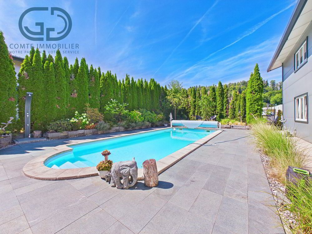5 rooms House to buy in Bassecourt - image 1/13