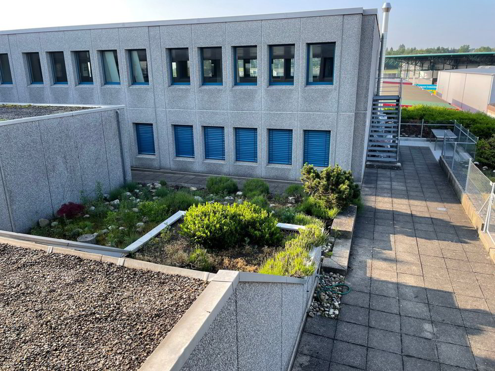 Bürofläche mit 540 m² im Flughafengebiet Rümlang in Rümlang zu vermieten per sofort - Ansicht 5