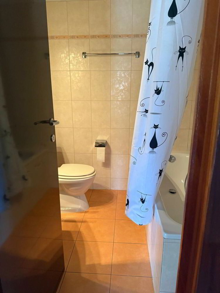 1 Zimmer Wohnung zu vermieten in Lugano - Bild 1/7