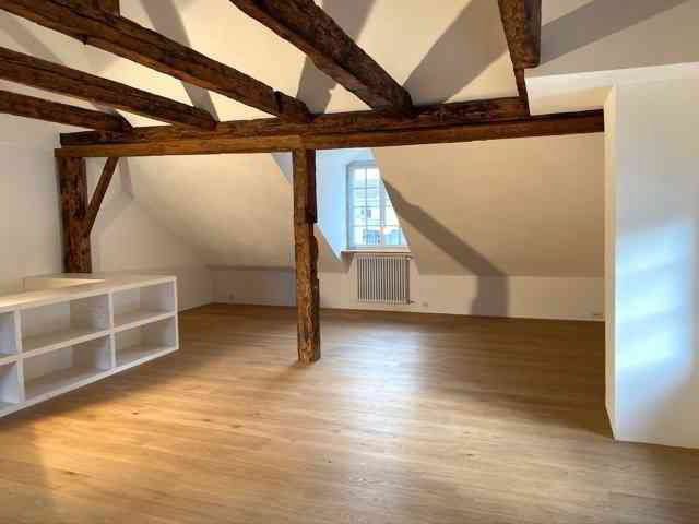 6.5 rooms House for rent in Meilen - image 1/7