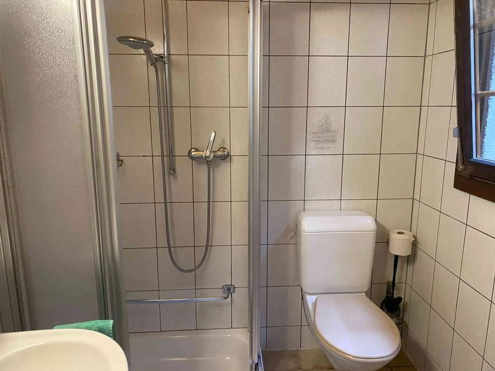 Wohnung – Ernen - Mehr