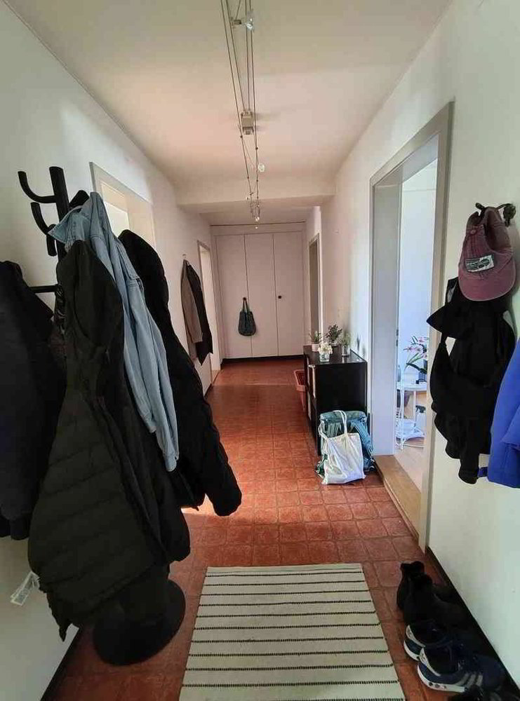 Appartamento di 3 locali in affitto a Winterthour - immagine 1/6