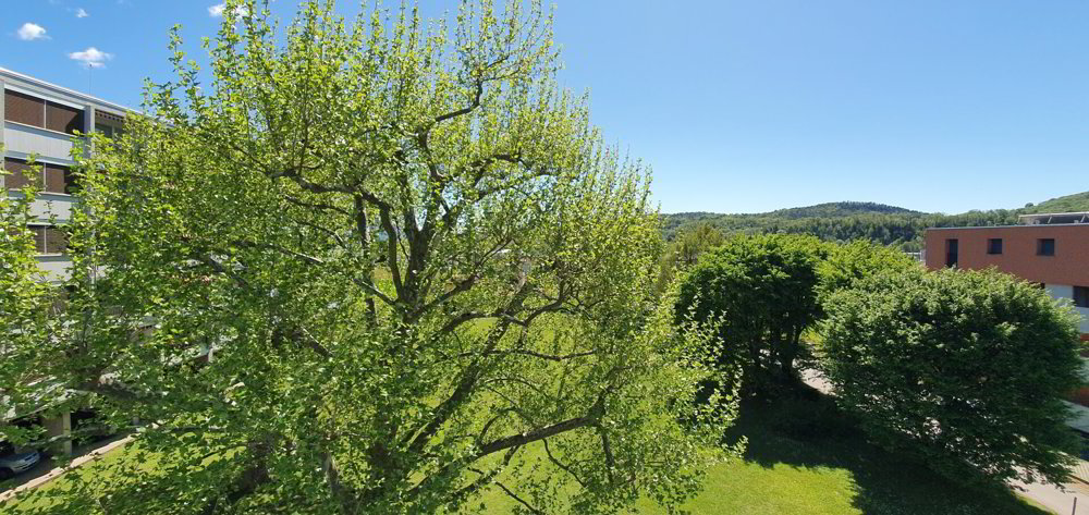 3.5 rooms Apartment to buy in Stabio - image 1/15