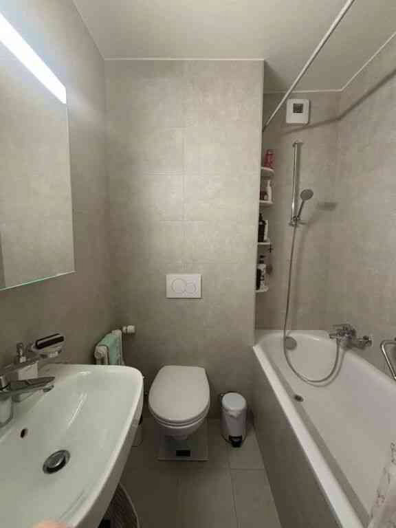 Appartamento di 3 locali in affitto a Bâle - immagine 1/6