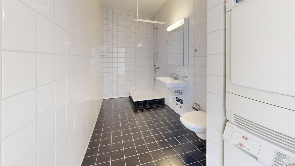 5 rooms Apartment for rent in Bâle - image 1/12