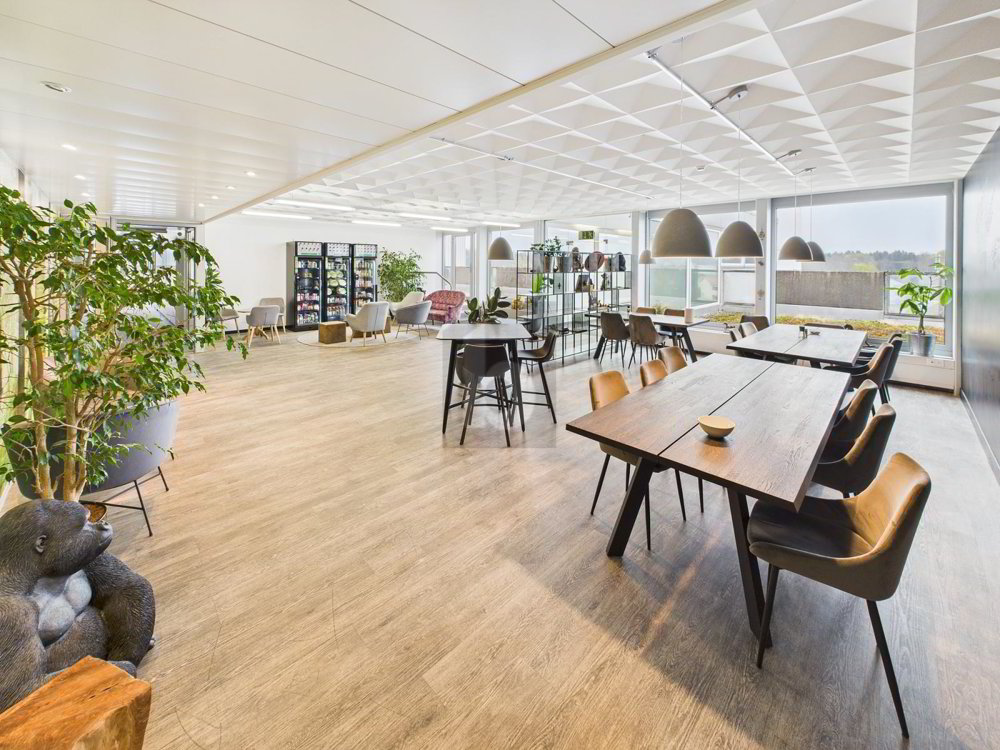 MODERNES BÜRO AN ZENTRALER LAGE 3.01 - Ansicht 5