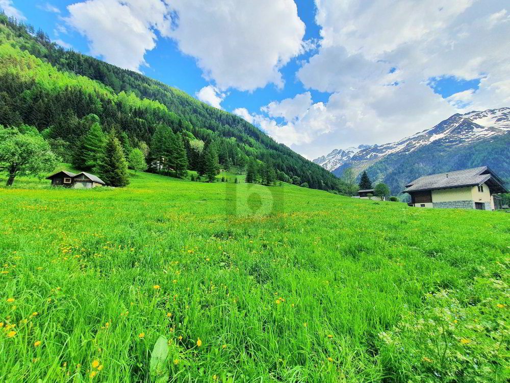 TERRAINS CONSTRUCTIBLES, AGRICOLES ET FORESTIERS