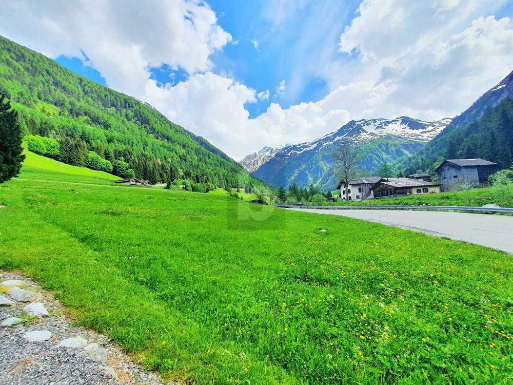 TERRAINS CONSTRUCTIBLES, AGRICOLES ET FORESTIERS - Ansicht 3