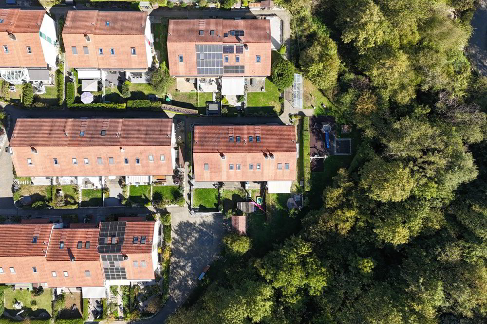 Haus – Trimbach - Ansicht 4