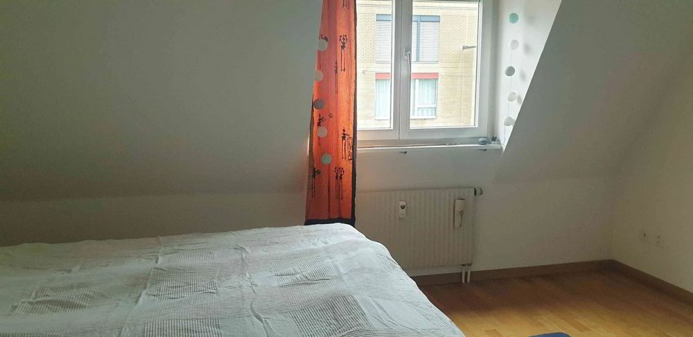 Appartamento di 2 locali in affitto a Bâle - immagine 1/5
