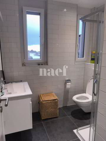 1 rooms Apartment for rent in Colombier NE - image 1/5