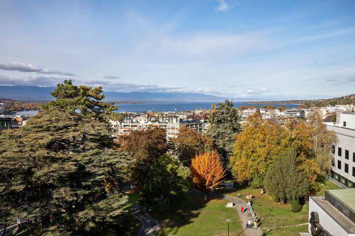 7 Zimmer Wohnung zu vermieten in Geneva - Bild 1/13