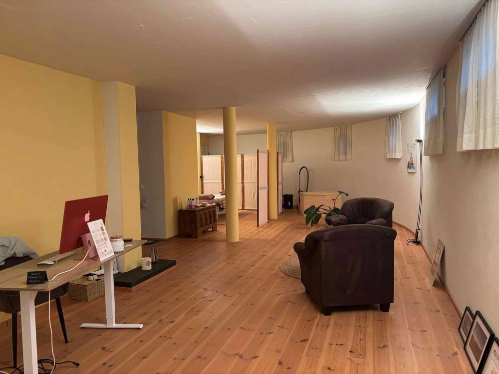 1 rooms Office & Commercial for rent in Thusis - image 1/8