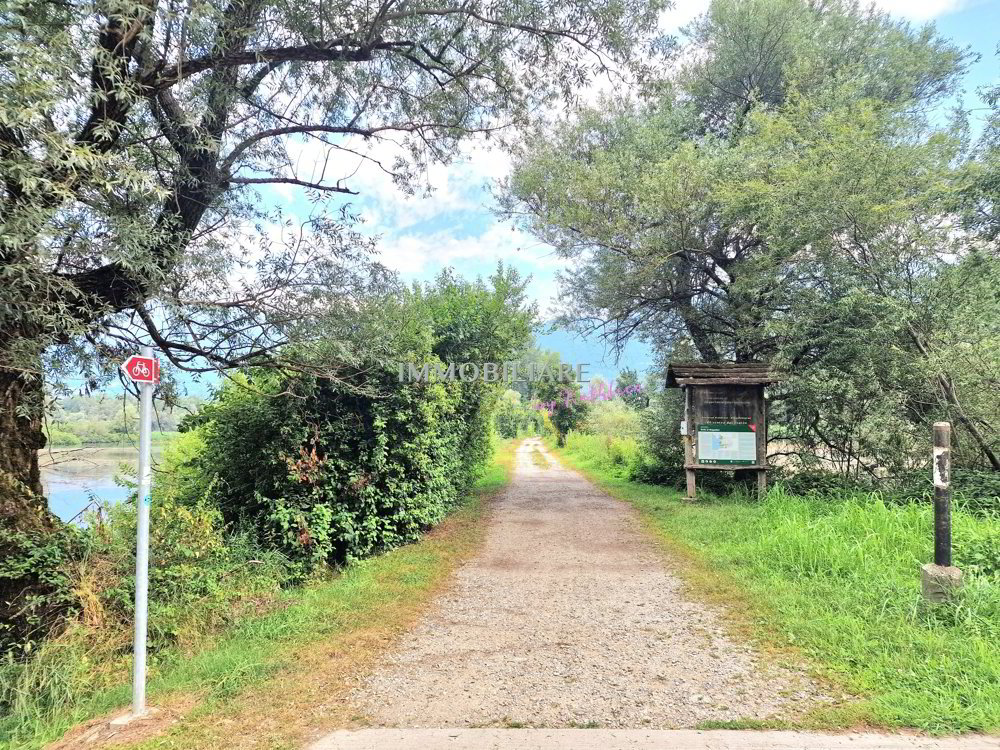 3 rooms Apartment to buy in Magadino - image 1/8
