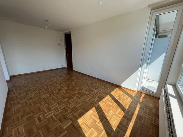 Appartamento di 3 locali in affitto a Châtelaine - immagine 1/6