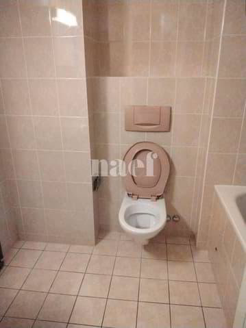 Appartamento di 3 locali in affitto a Geneva - immagine 1/9