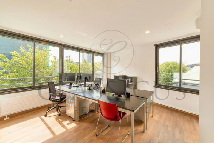 Bureaux professionnels rationnels au 2ème étage - Genève Plainpalais - Mehr