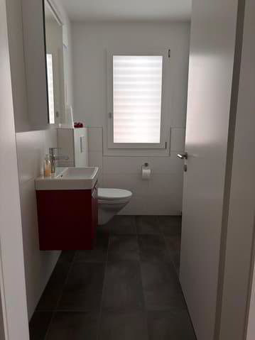 3.5 Zimmer Wohnung zu vermieten in Düdingen - Bild 1/13