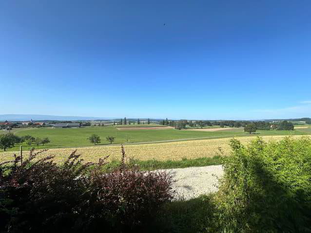 Casa di 4.5 locali in vendita a Wünnewil - immagine 1/13