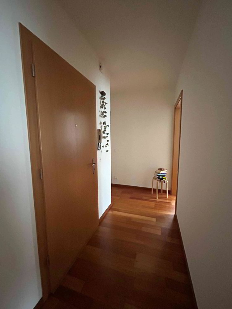 Wohnung – Mendrisio - Mehr