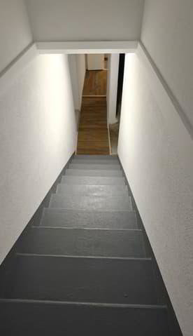 null rooms Office & Commercial for rent in Yverdon-les-Bains - image 1/8