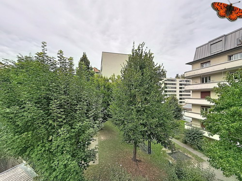 Appartement 2 pièces à louer à Fribourg - image 1/7