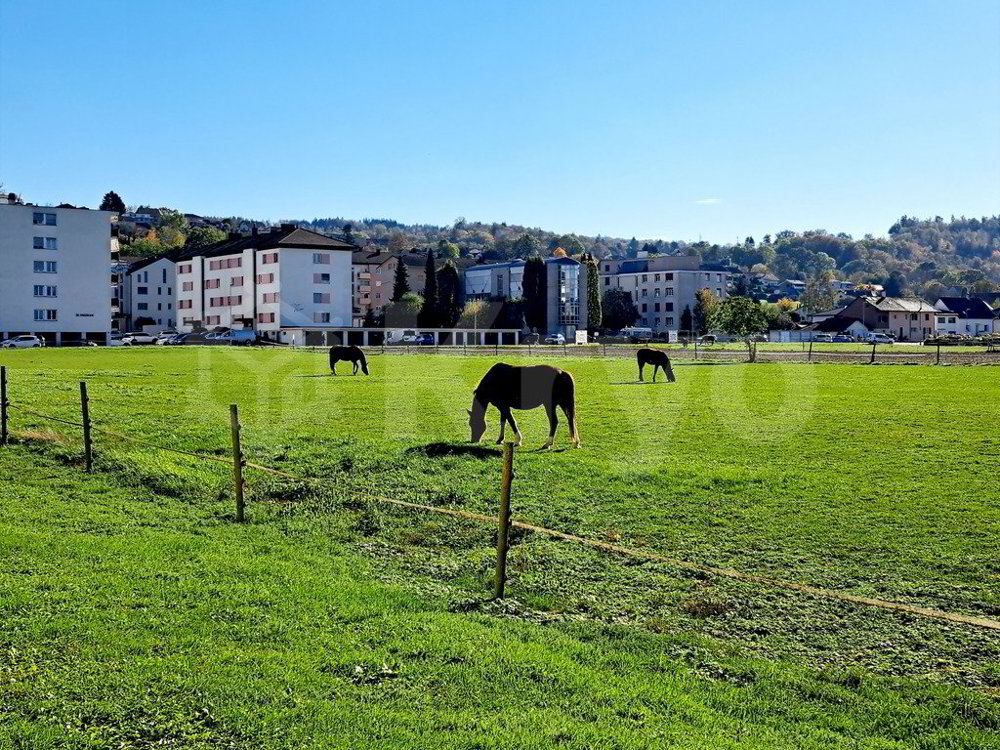 Appartamento di 3 locali in affitto a Domdidier - immagine 1/10