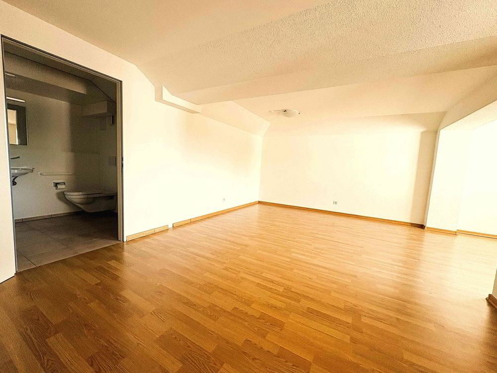 Ein Atelier/Büro mit behindertengerechter Toilette in Dornach - Ansicht 2