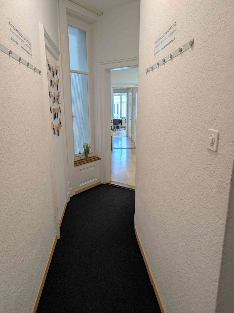 4 rooms Office & Commercial for rent in Bern - image 1/13