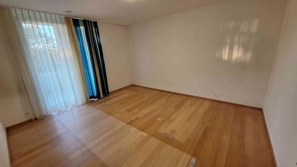 4.5 Zimmer Wohnung zu vermieten in Steinach - Bild 1/11