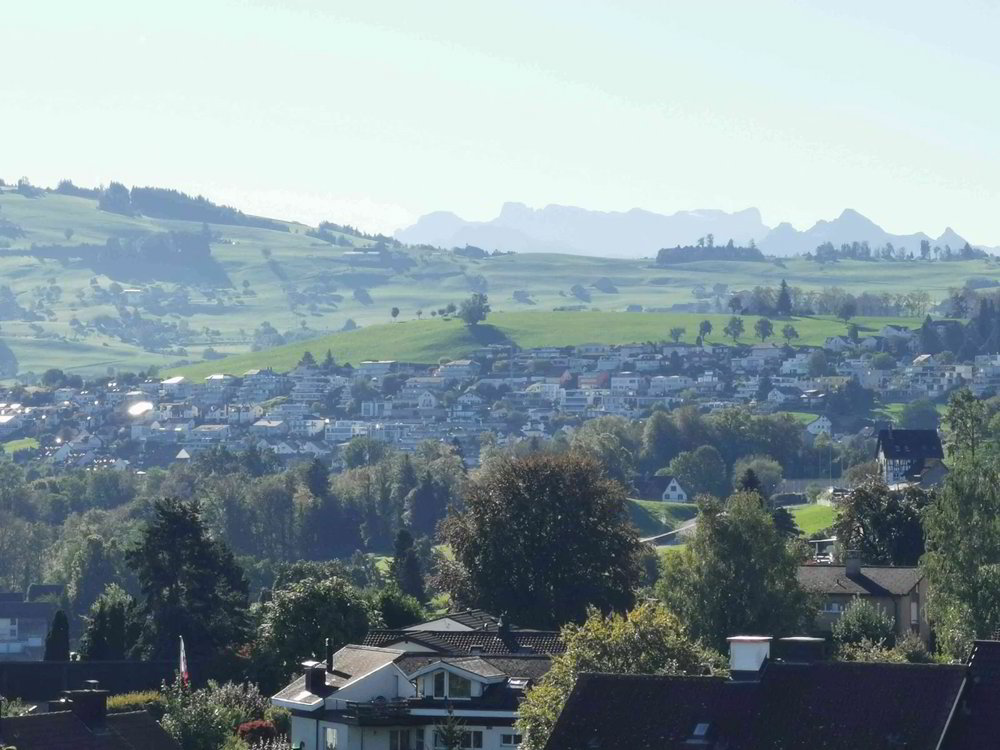Appartamento di 3.5 locali in affitto a Richterswil - immagine 1/12