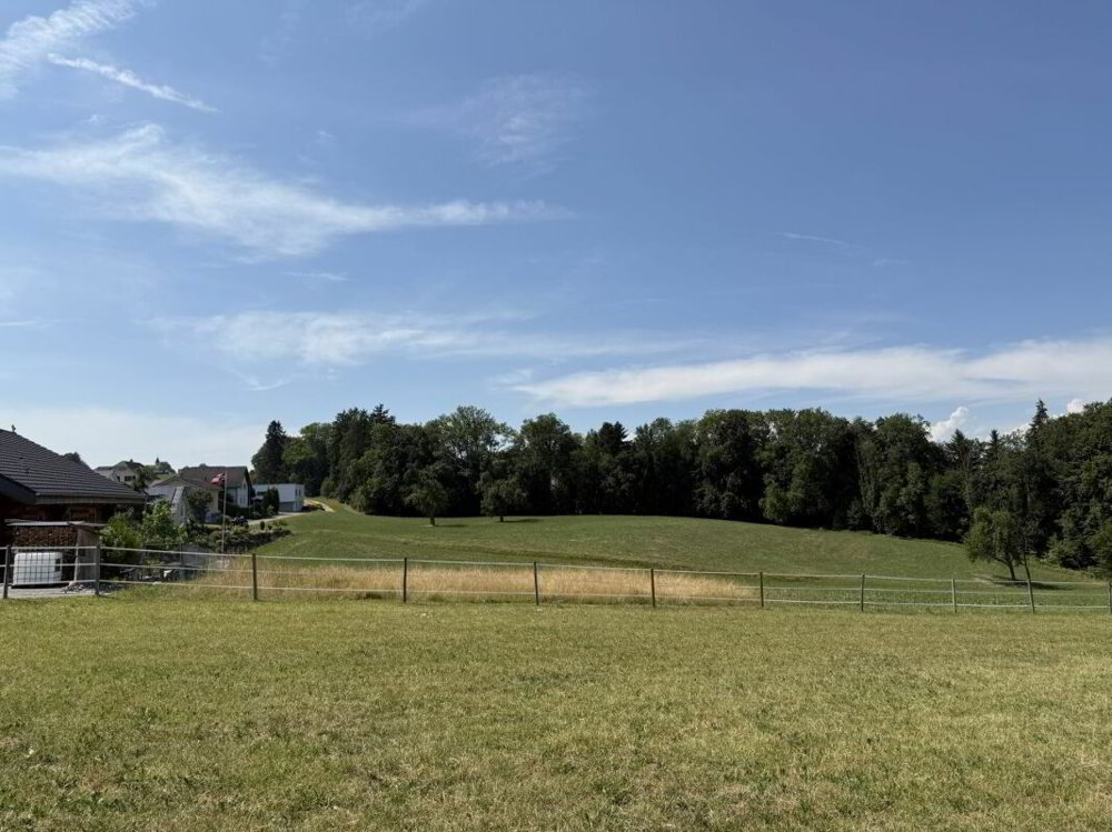 Haus – Amlikon-Bissegg - Mehr