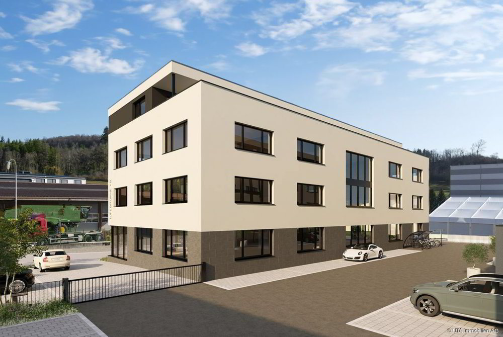 null Zimmer Büro zum verkaufen in Tegerfelden - Bild 1/13
