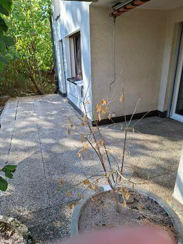 4.5 rooms Apartment for rent in Düdingen - image 1/11