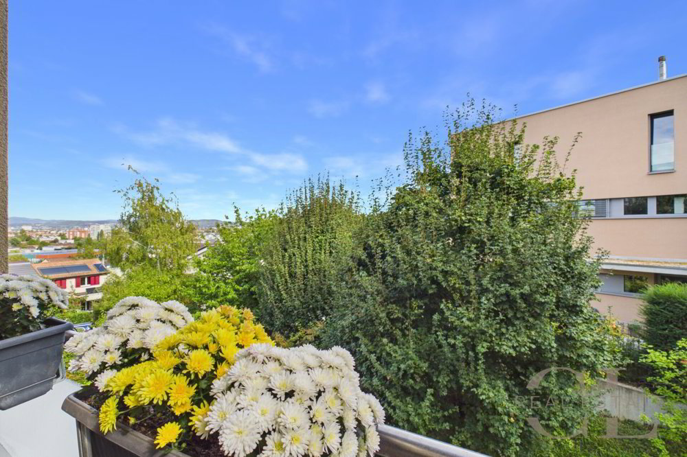 Appartamento di 5.5 locali in vendita a Allschwil - immagine 1/23