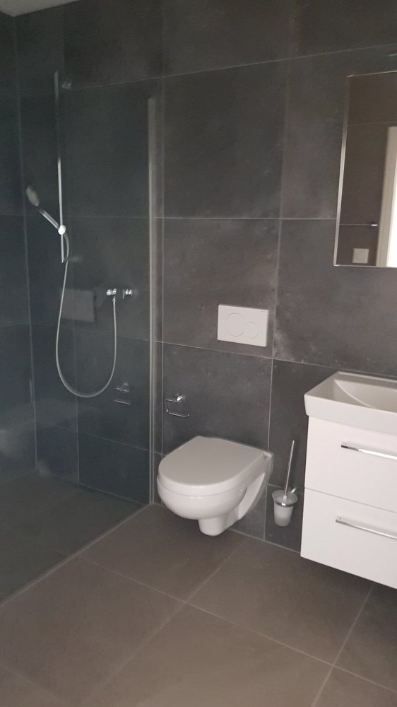Wohnung – Oberkulm - Ansicht 3